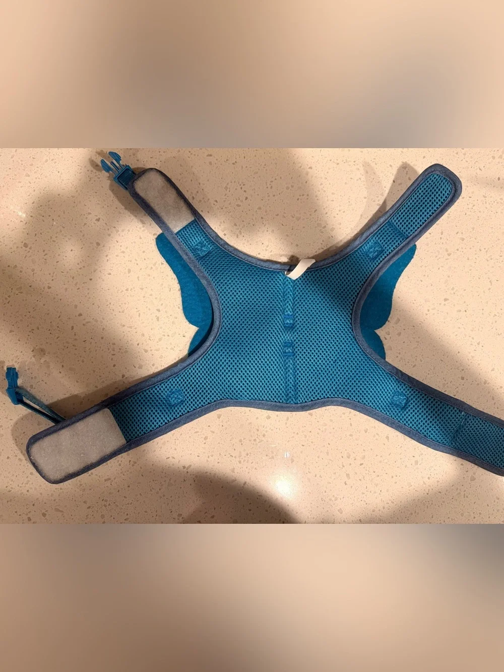 Top Paw Pride Rainbow Butterfly Wings Dog Harness Size Small Blue